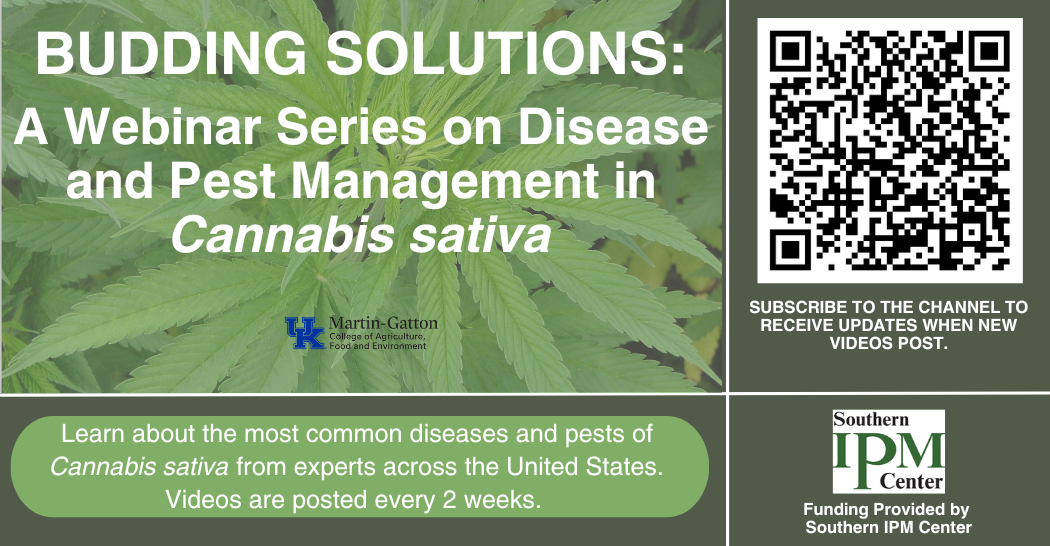 Hemp Webinar Series Announcement
